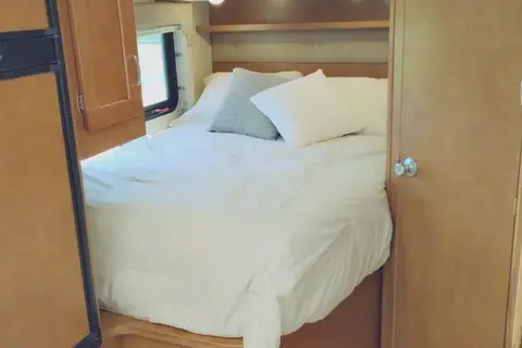 Meet Lamar; that friend that's ready to go anywhere, anytime!