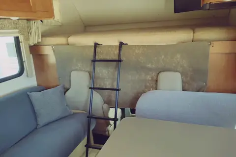 Meet Lamar; that friend that's ready to go anywhere, anytime!