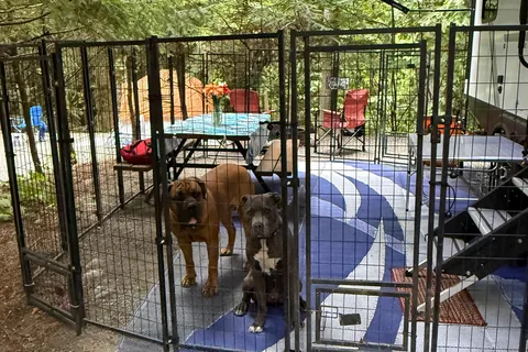 Honey's House