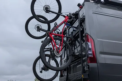 La Vagabonde