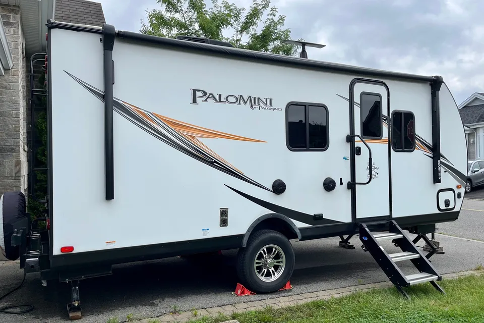 Dom's palomini