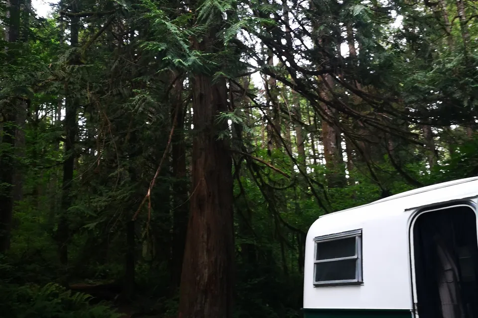 Bubs The Boler 1972 Vintage Trailer 