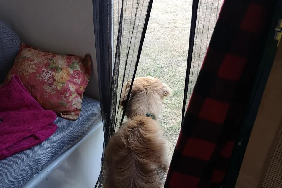 Bubs The Boler 1972 Vintage Trailer 