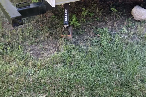 Hydranga Blessings