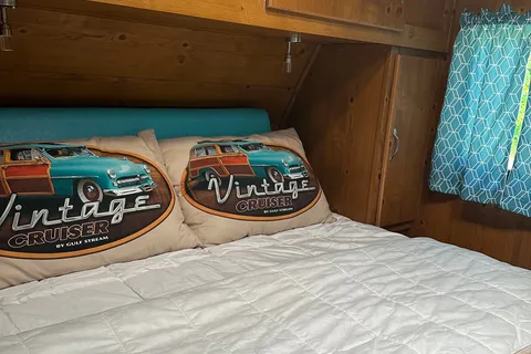 Renee's vintage cruiser adventures