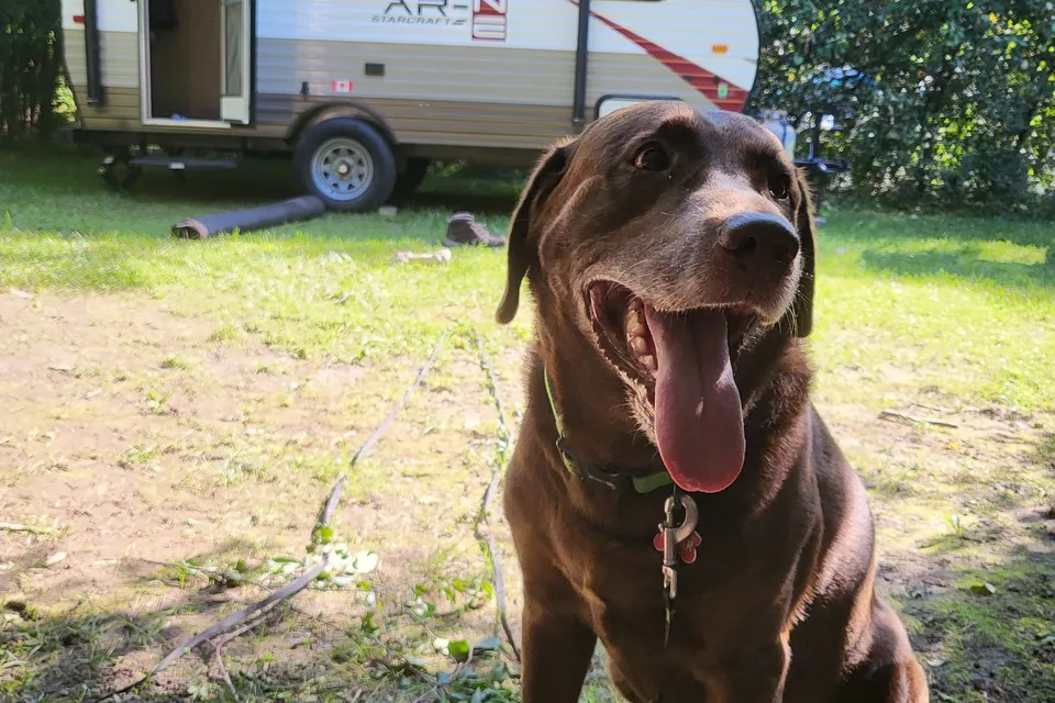 Andrew's 2017 Starcraft 15RB Hybrid Light Camper
