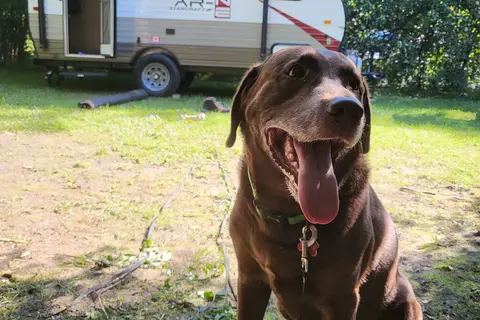 Andrew's 2017 Starcraft 15RB Hybrid Light Camper