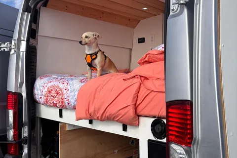 SoCal Van Life
