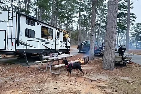 The Outback