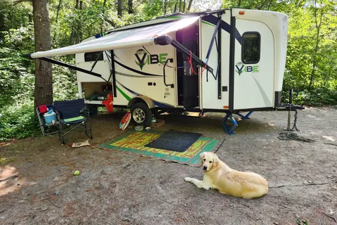 David's Forest River VIBE Travel Trailer