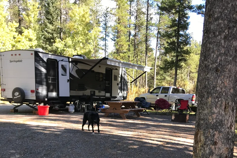 Springdale 282bh Travel Trailer