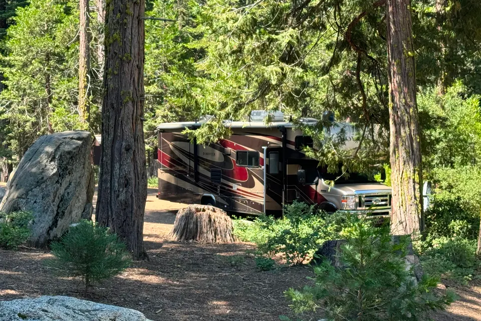The Frank Braun Family Road Tripper