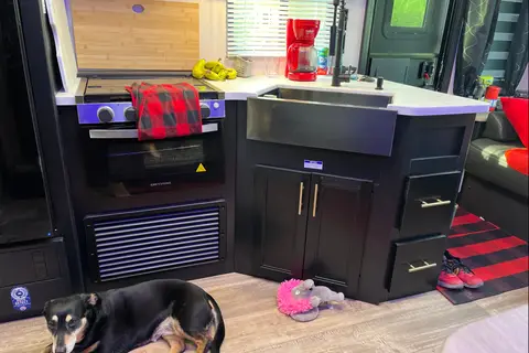 Wendy's Weekend Wolf Pup Warrior
