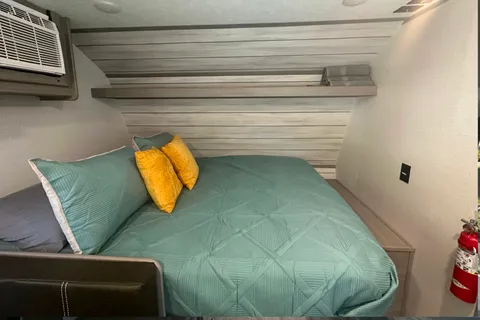 Snug As a Bug