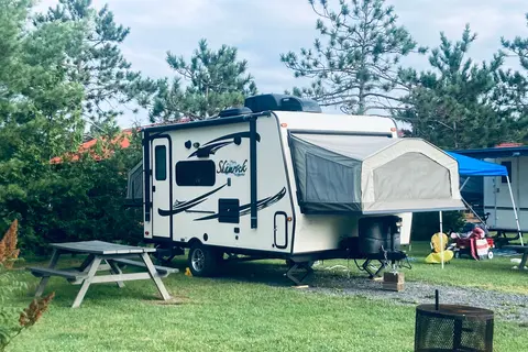 Shamrock 17’ Hybride 
