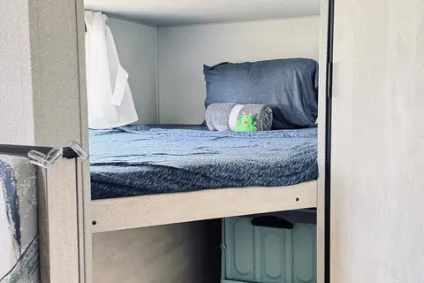 Easy Peasy Shasta Delivery Only