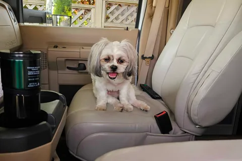 Kate and Pickles Mobile 
