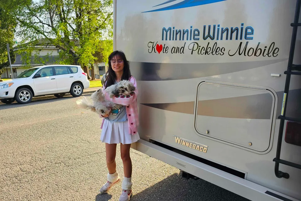Kate and Pickles Mobile 