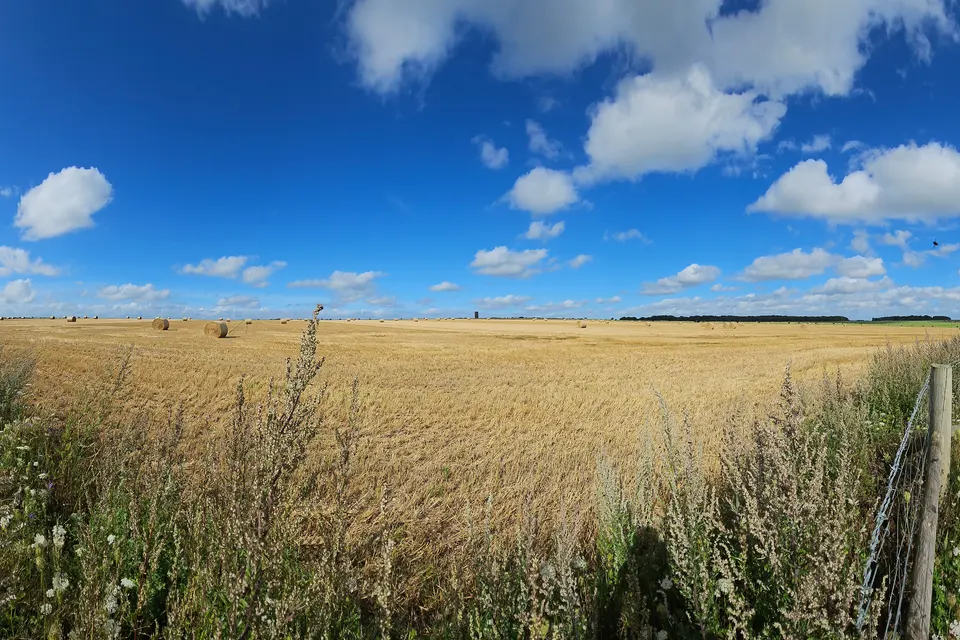 Jay-Whitehawk ADventures