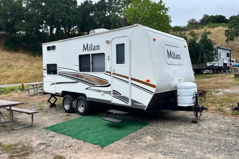 Cozy  Millan