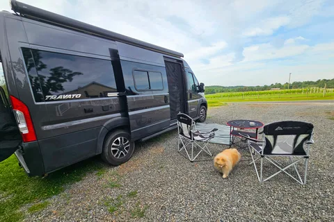 Winnebago Travato 59g Class B