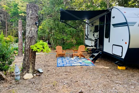 Zen Den Forest River Wolf Pup Travel Trailer
