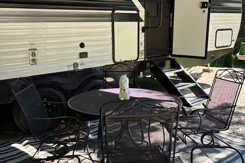 Emily's Forest River Della Terra 241BH Travel Trailer
