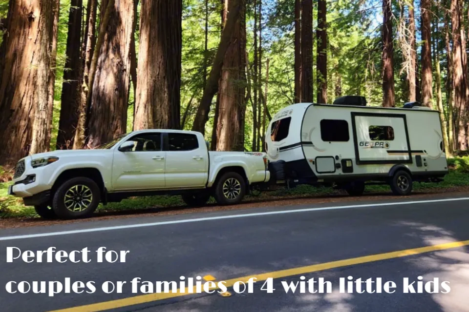 Forest River Geo Pro G19FBS 20ft Travel Trailer | Lightweight | Hitch Included | Sleeps 3-4 | Irvine