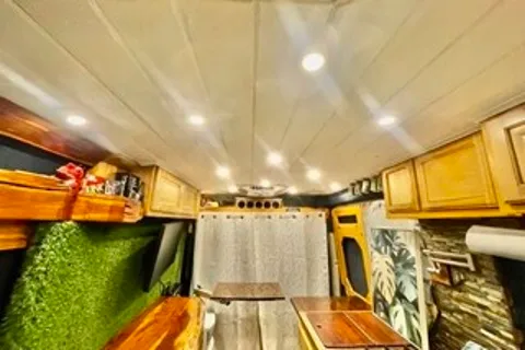 Forest style Time Capsule
