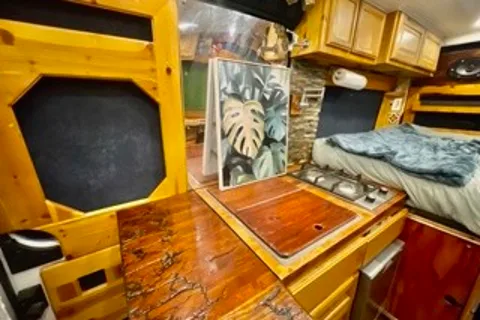 Forest style Time Capsule