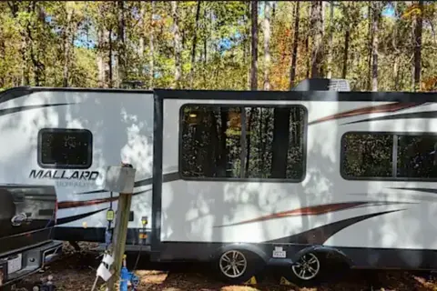 Mallard Escape DASC1309