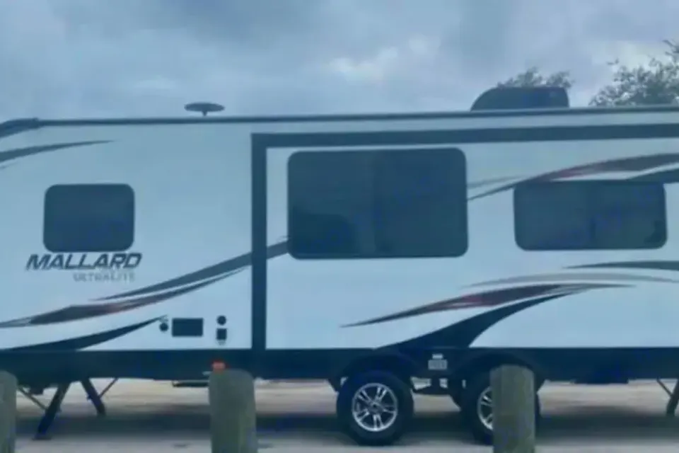Mallard Escape DASC1309