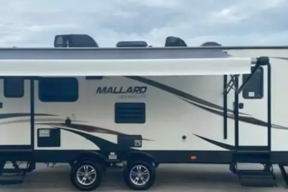Mallard Escape DASC1309