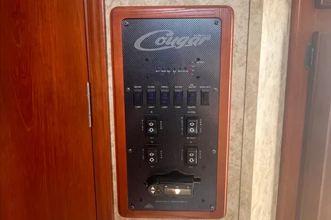 Curtis's Cougar