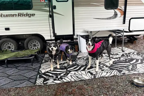 The Wolf Pack's Adventure Trailer
