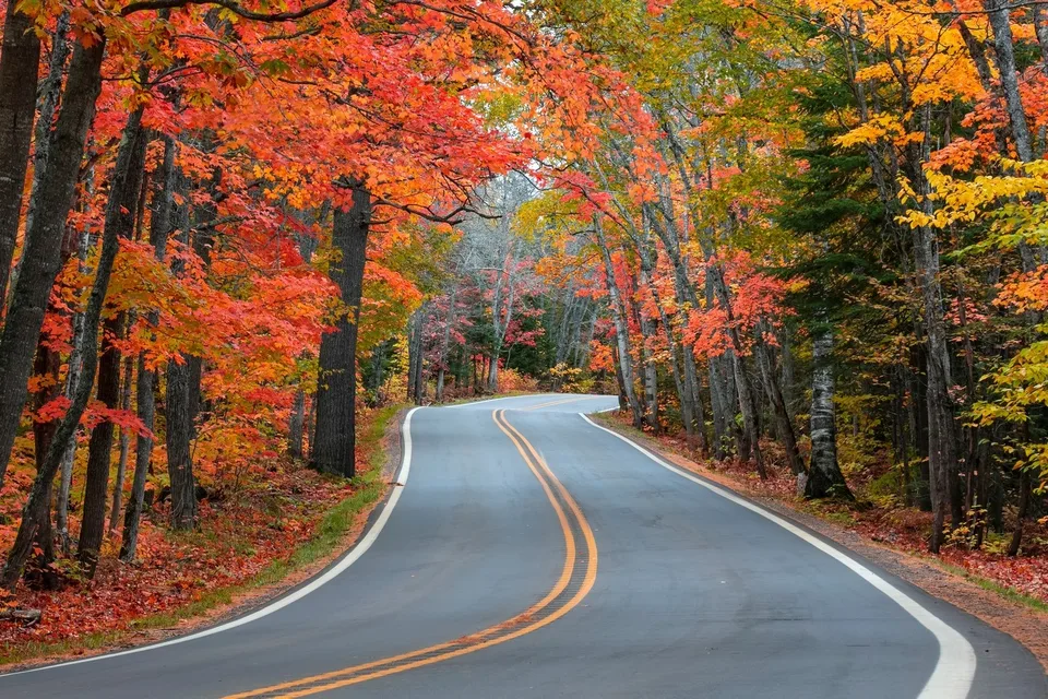 Treelined RV Stay Near Boyne — Fire Pit, S'mores, Dogs Welcome