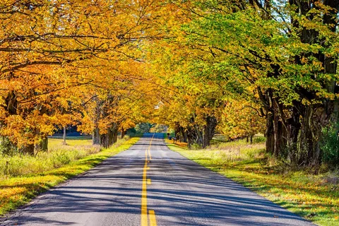 Treelined RV Stay Near Boyne — Fire Pit, S'mores, Dogs Welcome