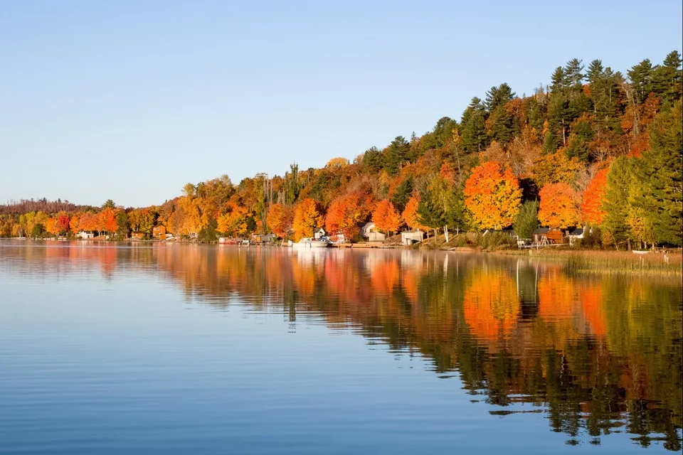 Treelined RV Stay Near Boyne — Fire Pit, S'mores, Dogs Welcome