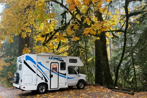 The Cultus Express