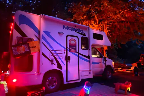 The Cultus Express