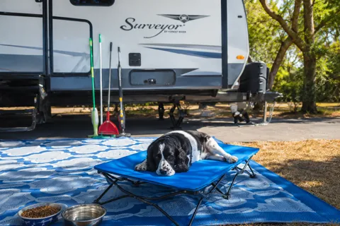 2018 Surveyor 247BH Dog Friendly + Bunkhouse + Island, Sleeps 8