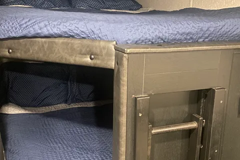 David's Forest River Grey wolf black label Travel Trailer