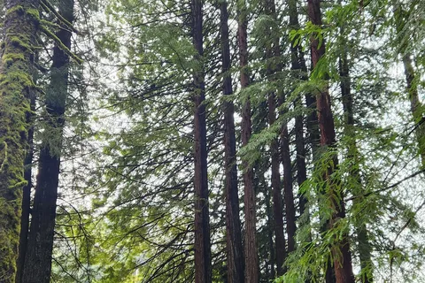 Leisure Travel Van Unity RL - PNW Glamping Easy for First Timers