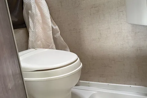 Little Green Frog