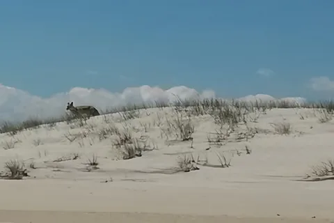 Salty, Sandy, Happy!