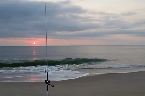 Salty, Sandy, Happy!
