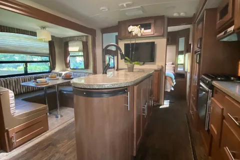 Wild Kitty