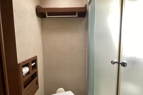 Wild Kitty