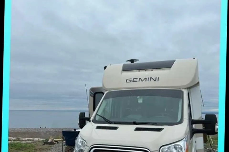 Gemini Cricket