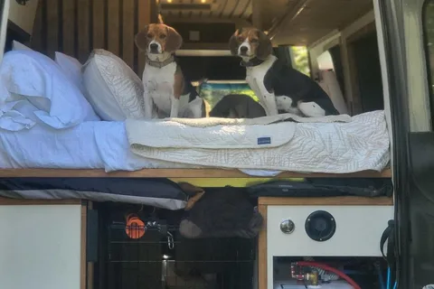 Project Beagle